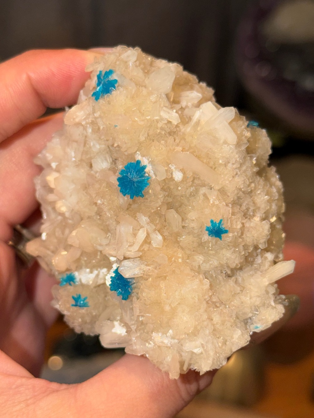 Canvansite - Picture 2 of 3